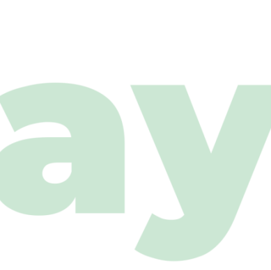 wepayon logo